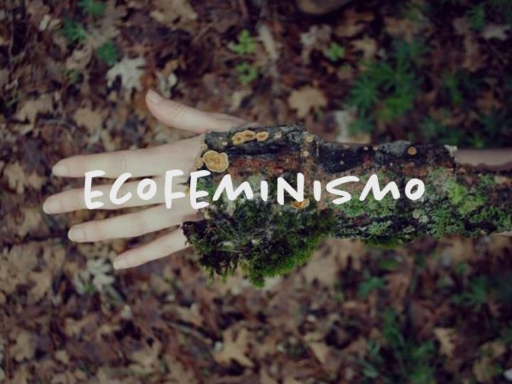 Ecofeminismo