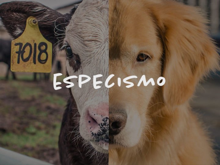 Especismo
