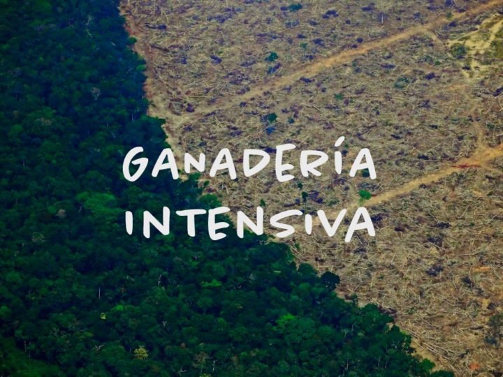 Ganadería intensiva